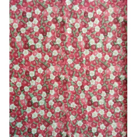 P137-4502-783 PATCH.AMERICANO VINTAGE STRAWBERRIES (01) 110 CM. ALGODON 100% CREMA/FRESA Venta en piezas de 6.00 M