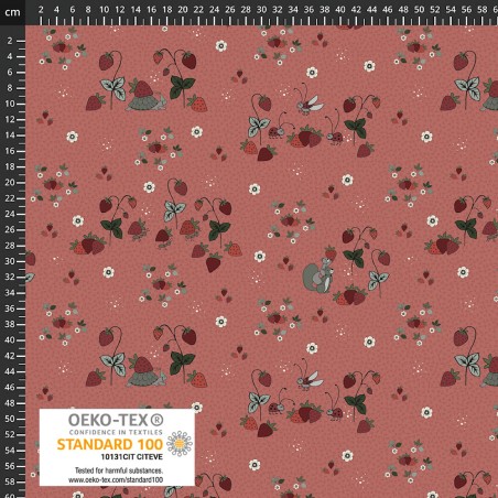 P137-4504-285 PATCH.AMERICANO STRAWBERRY MISCHIEF (17) 110 CM. ALGODON 100% FRESA Venta en piezas de 6.00 M