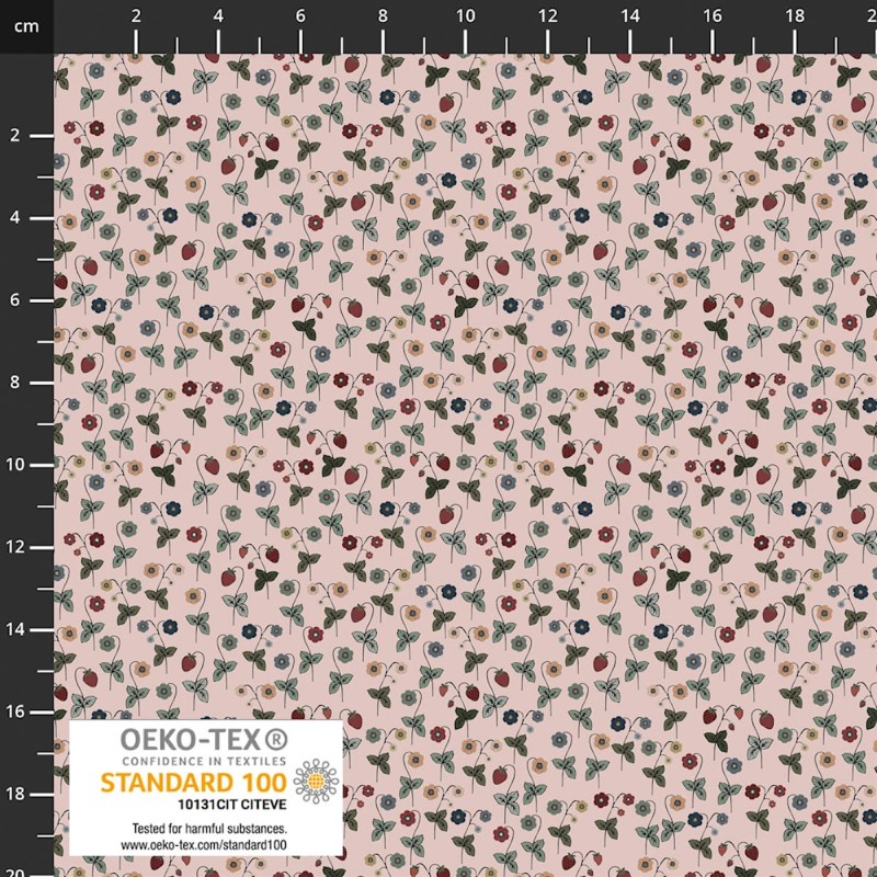 P137-4504-288 PATCH.AMERICANO STRAWBERRY MISCHIEF (07) 110 CM. ALGODON 100% ROSA Venta en piezas de 6.00 M