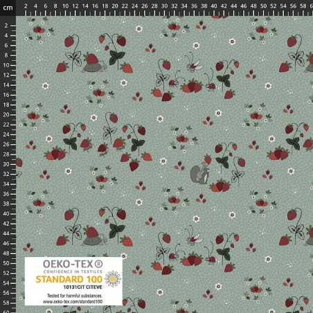 P137-4504-290 PATCH.AMERICANO STRAWBERRY MISCHIEF (08) 110 CM. ALGODON 100% GRIS Venta en piezas de 6.00 M