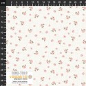 P137-4550-529 PATCH.AMERICANO HOLLIE-ROSE (07) 110 CM. ALGODON 100% CREMA Venta en piezas de 6.00 M