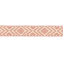 64312 CINTA JACQUARD 30 MM EBER ACRILICO 50%-ALGODON 45%-PA. 5% ROSA Venta en piezas de 25.00 M