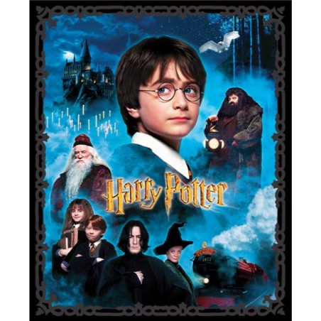 P133-15212-99 PATCH. AMERICANO HARRY POTTER (01) PANEL 90X110 CM. ALGODON 100% MULTI Venta en piezas de 6.80 M