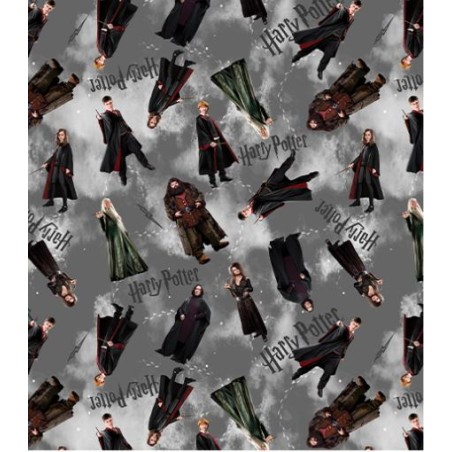 P133-15217-11 PATCH. AMERICANO HARRY POTTER (10) 110 CM. ALGODON 100% GRIS Venta en piezas de 6.80 M