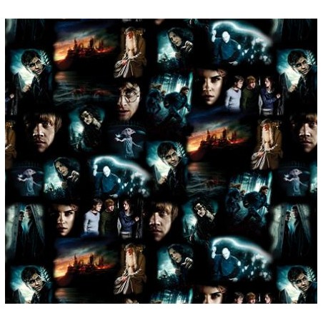 P133-15263-12 PATCH. AMERICANO HARRY POTTER 2ND ED. (01) 110 CM. ALGODON 100% MULTI Venta en piezas de 6.80 M