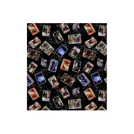 P133-15264-12 PATCH. AMERICANO HARRY POTTER 2ND ED. (07) 110 CM. ALGODON 100% NEGRO Venta en piezas de 6.80 M