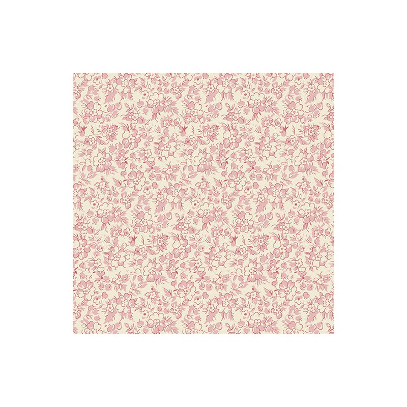 P133-16653-21 PATCH. AMERICANO BELOVED (07) 110 CM. ALGODON 100% NATURAL/ROSA Venta en piezas de 6.80 M
