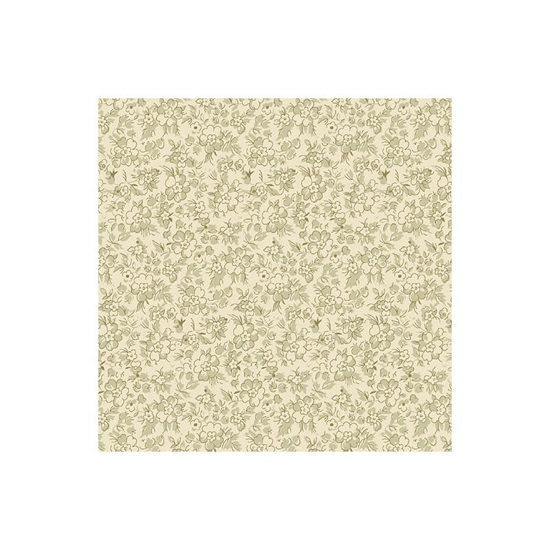 P133-16653-41 PATCH. AMERICANO BELOVED (12) 110 CM. ALGODON 100% NATURAL/VERDE Venta en piezas de 6.80 M
