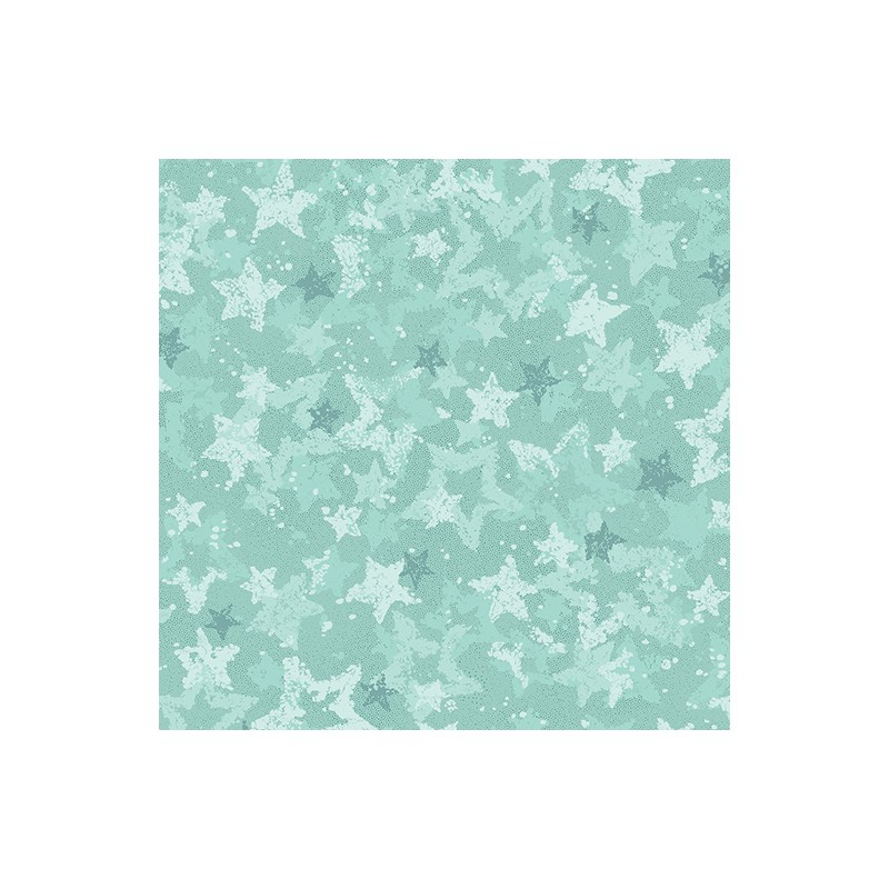 P133-17058W-24 PATCH. AMERICANO STAR OF WONDER, STAR OF LIGHT(03) 270 CM. ALGODON 100% AGUA Venta en piezas de 6.80 M