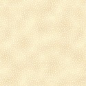 P133-17068-07 PATCH. AMERICANO STAR OF WONDER, STAR OF LIGHT (08) 110 CM. ALGODON 100% CREMA Venta en piezas de 6.80 M