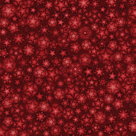 P133-17272-10 PATCH. AMERICANO 12 DAYS OF CHRISTMAS (02) 110 CM. ALGODON 100% ROJO Venta en piezas de 6.80 M