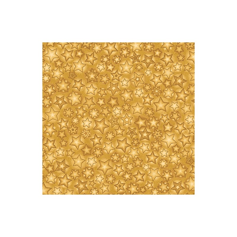 P133-17272-30 PATCH. AMERICANO 12 DAYS OF CHRISTMAS (10) 110 CM. ALGODON 100% MIEL Venta en piezas de 6.80 M