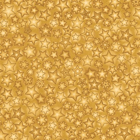 P133-17272-30 PATCH. AMERICANO 12 DAYS OF CHRISTMAS (10) 110 CM. ALGODON 100% MIEL Venta en piezas de 6.80 M