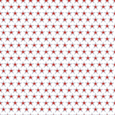 P17-MAS11105-WZ PATCH. AMERICANO REGATTA DAYS (05) 110 CM. ALGODON 100% BLANCO Venta en piezas de 7.00 M