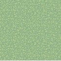 P17-MAS11194-G PATCH. AMERICANO GATHERING SUN (10) 110 CM. ALGODON 100% VERDE Venta en piezas de 7.00 M