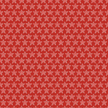P17-MAS11105-R PATCH. AMERICANO REGATTA DAYS (06) 110 CM. ALGODON 100% ROJO Venta en piezas de 7.00 M