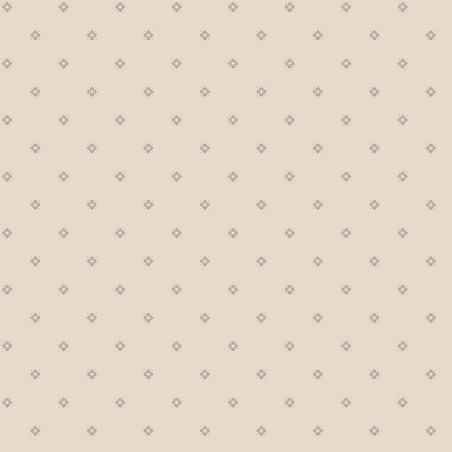 P17-MAS11136-T PATCH. AMERICANO MEADOW BLUSH (21) 110 CM. ALGODON 100% TAUPE Venta en piezas de 7.00 M