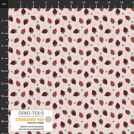 P137-4504-289 PATCH.AMERICANO STRAWBERRY MISCHIEF (10) 110 CM. ALGODON 100% ROSA Venta en piezas de 6.00 M