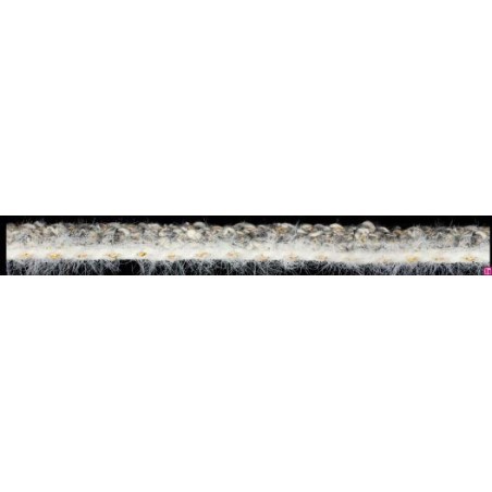 129827-0027 GALON FANTASIA KIKEY 12 MM. POLIAMIDA+ALGODON+METALLIC BLANCO/GRIS Venta en piezas de 20.00 M