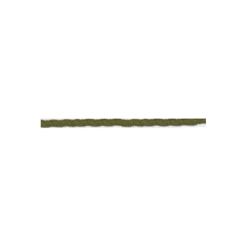 5710-872 CINTA CHENILLA PLANA 5 MM. ACRILICO 70%-POLIESTER 30% VERDE Venta en piezas de 50.00 M