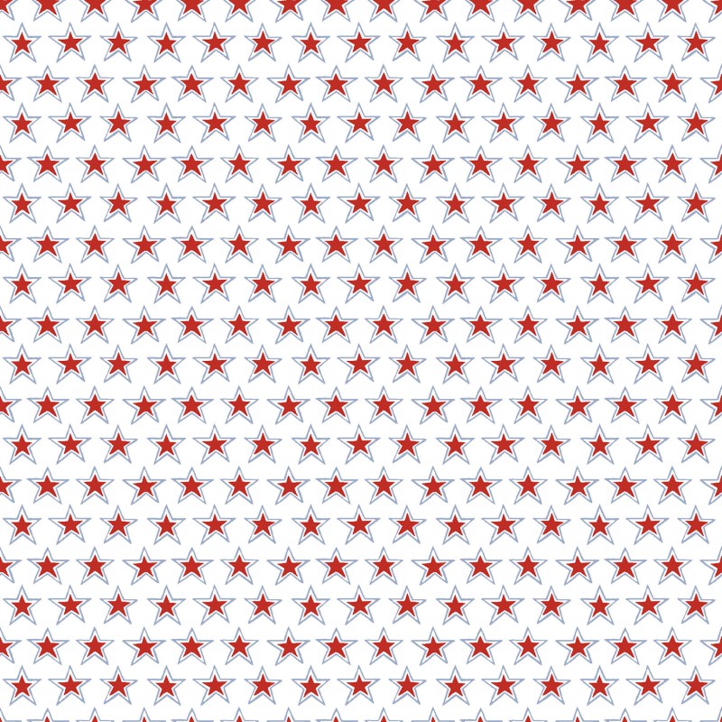 P17-MAS11105-WZ PATCH. AMERICANO REGATTA DAYS (05) 110 CM. ALGODON 100% BLANCO Venta en piezas de 7.00 M
