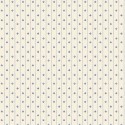 P121-ISAB6415E PATCH. AMERICANO ISABELLA (20) 110 CM. ALGODON 100% CREMA Venta en piezas de 7.00 M