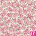 P121-PHIL6533ECRU PATCH. AMERICANO PEONY HILL (05) 110 CM. ALGODON 100% CREMA Venta en piezas de 7.00 M