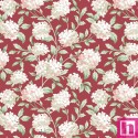 P17-MAS10682-R PATCH. AMERICANO REGAL ROSE (09) 110 CM. ALGODON 100% ROJO Venta en piezas de 7.00 M