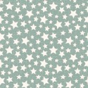 P17-MASF11165-Q PATCH. AMERICANO SNOWTOP MOUNTAIN FLANNEL (14) 110 CM. FRANELA ALGODON 100% VERDE Venta en piezas de 5.50 M