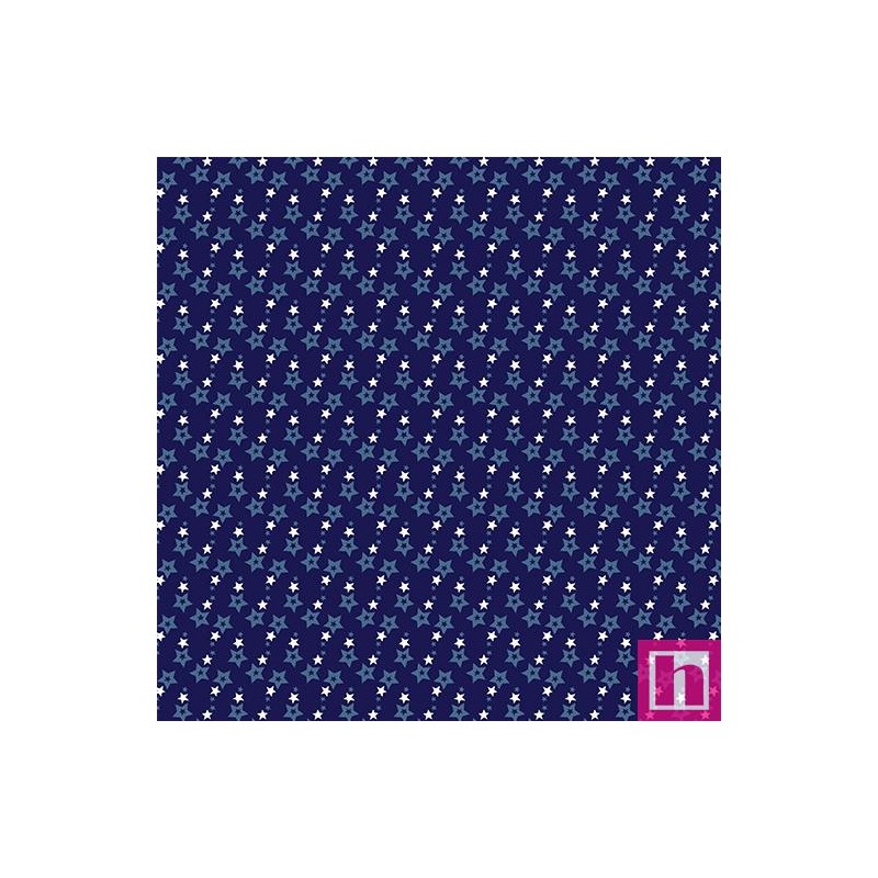 P133-14487-58 PATCH.AMERICANO DOCUMENTARIES (22) 110 CM. ALGODON 100% NAVY Venta en piezas de 6.80 M