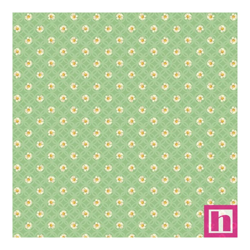 P133-16975-42 PATCH. AMERICANO HOPE (12) 110 CM. ALGODON 100% VERDE Venta en piezas de 6.90 M