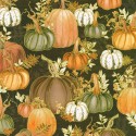 P135-AWHDM-23916-342 PATCH. AMERICANO HELLO FALL (09) 110 CM. ALGODON 100% CHOCOLATE Venta en piezas de 7.00 M