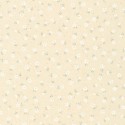 P135-SB-83034D1-1 PATCH. AMERICANO PETIT SOPHILA (01) 110 CM. ALGODON 100% BEIG Venta en piezas de 7.00 M