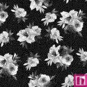 P17-MAS11011-J PATCH. AMERICANO MOONLIT WALK (05) 110 CM. ALGODON 100% NEGRO Venta en piezas de 7.00 M