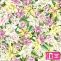 P17-MASD10222-E PATCH. AMERICANO LANAI (01) 110 CM. ALGODON 100% CREMA/MULTI Venta en piezas de 7.00 M