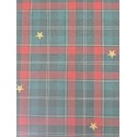 68173 LONETA ESTAMPADA ANTIMANCHAS XMAS (02) 1.60 M. POLIESTER 100% CRUDO/VERDE Venta en piezas de 10.00 M