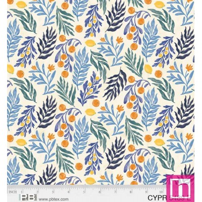 P121-CYPR5489E PATCH. AMERICANO CYPRUS (02) 110 CM. ALGODON 100% MULTICOLOR Venta en piezas de 7.00 M