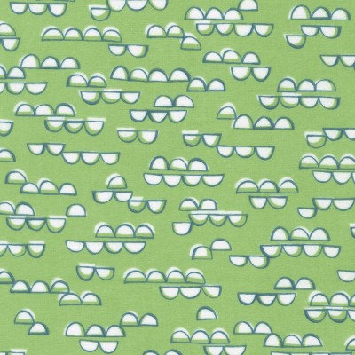 P135-SRKF-21894-270 PATCH. AMERICANO COZY COTTON FLANNEL OVER THE MOON (20) 110 CM. ALGODON 100% VERDE Venta en piezas de 7.00 M