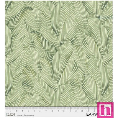 P121-EARW5785A PATCH. AMERICANO EARTH TONE (06) 270 CM. ALGODON 100% VERDE Venta en piezas de 7.00 M